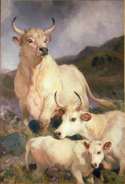 Wilde runderen van Chillingham, Northumberland, c.1867 door Edwin Landseer